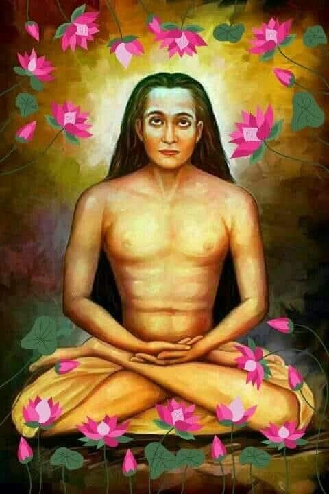 Swami Babaji Arts - Fibre Idol